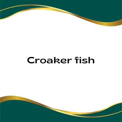 croaker fish photo text only