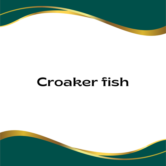 croaker fish photo text only